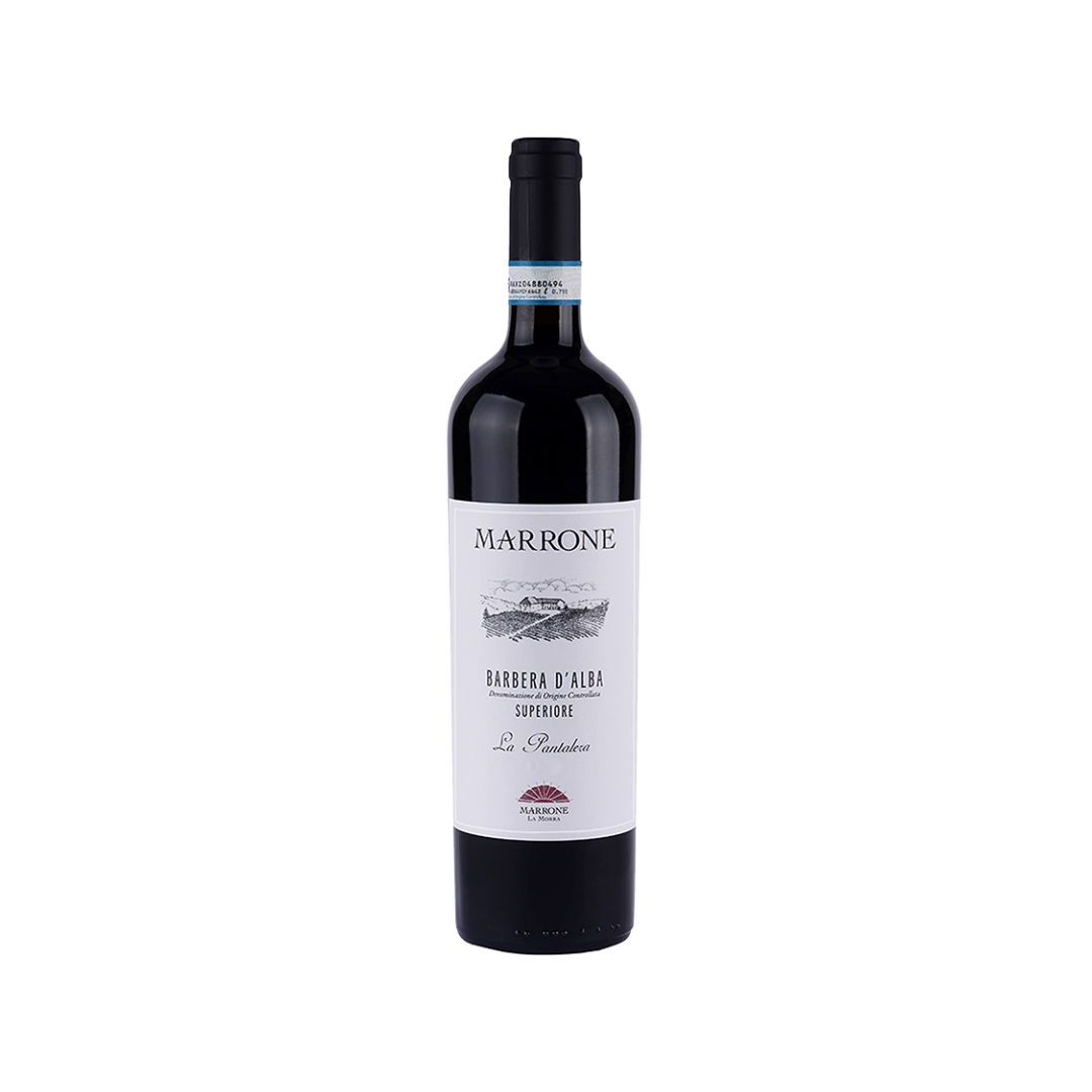 Marrone Barbera d'Alba Superiore DOC "La Pantalera" 2021