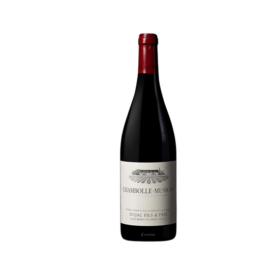 Dujac Pere et Fils Chambolle Musigny 2022