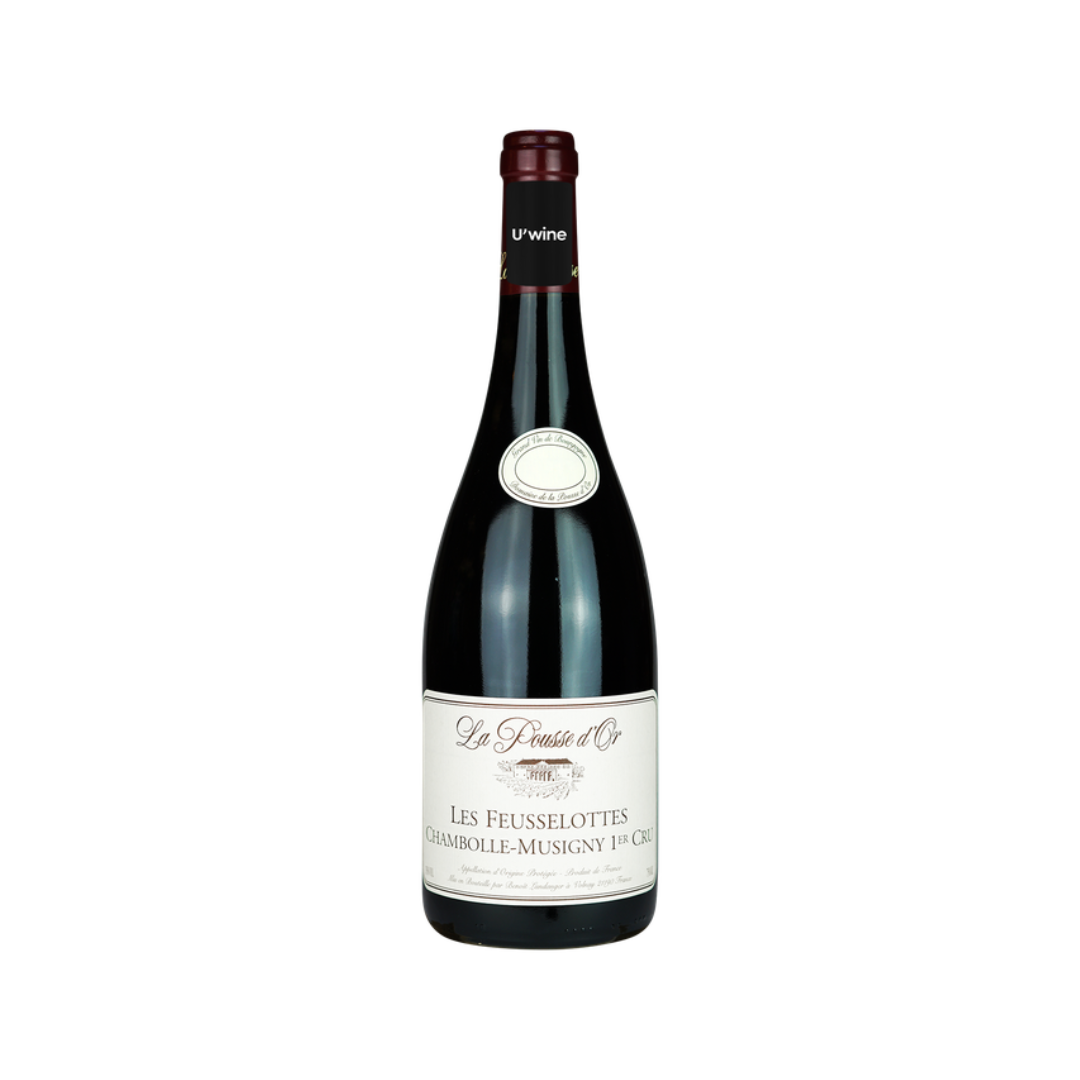 Domaine de la Pousse d'Or Chambolle Musigny Feusselottes 2014