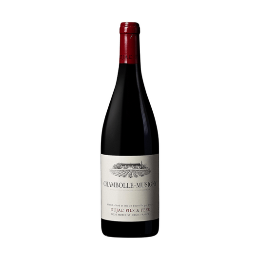 Dujac Fils & Pere Chambolle Musigny 2021